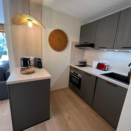 T2 Design Et Cosy A Avec Terrasse Sud Et Garage Prive - Fr-1-459-235 La Clusaz